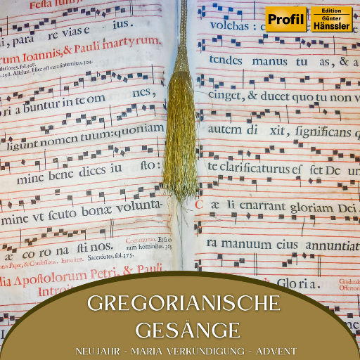 丁香五月天激情
